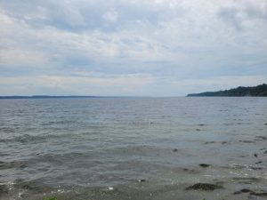 Fingerlakes Geneva, NY