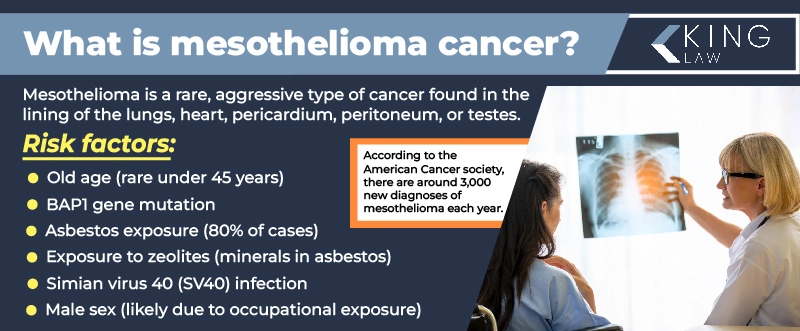 This infographic briefly explains what mesothelioma is, what the risk factors are, and offers a statistic from the American Cancer Society. 
