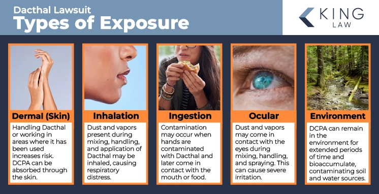 This infographic describes the types of exposure to Dacthal. Image of hands for dermal (skin), image of a nose and mouth for inhalation, image of a girl eating a sandwich for ingestion, image of an eye for ocular, and an image of a stream in the woods for environmental.