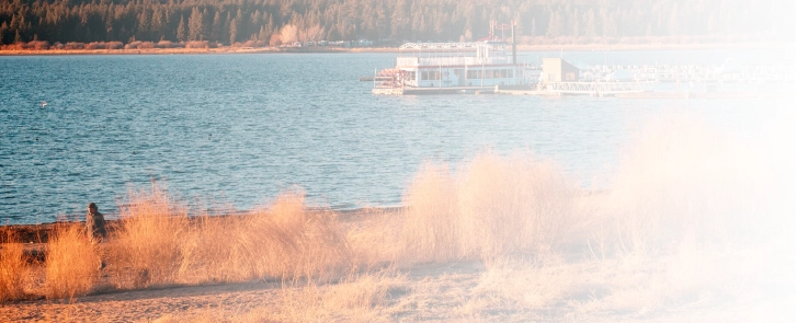 background image for homepage