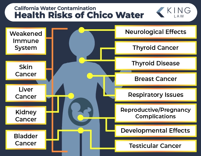 This infographic lists the health risks of exposure to Chico, CA's drinking water and points to the approximate location on the body it occurs with a silhouette. 