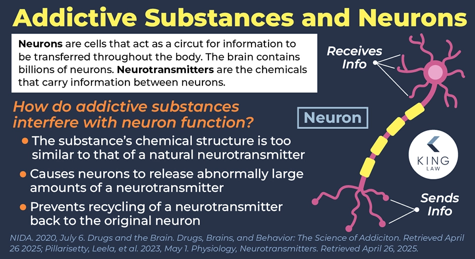 Infographic showing a basic illustration of a neuron. It explains what neurons and neurotransmitters are and how addictive substances like ultra-processed foods can impact it's function.