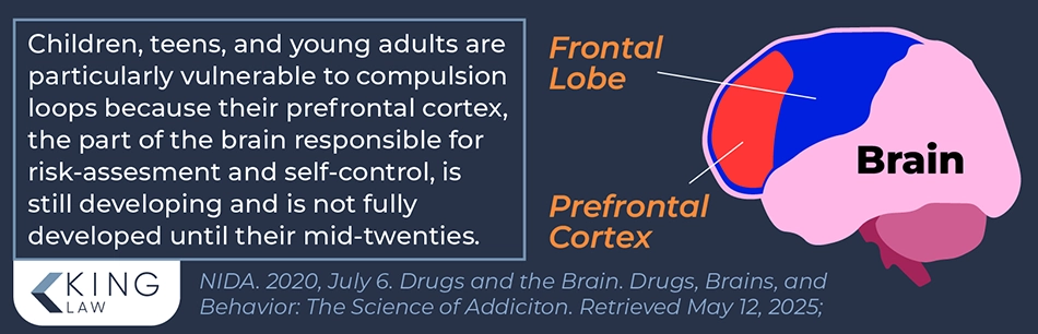 Infographic explaining why children, teens, and young adults are at a higher risk of developing a behavioral addiction from compulsion loops in video games. Graphic of a brain noting the frontal lobe and prefrontal cortex.