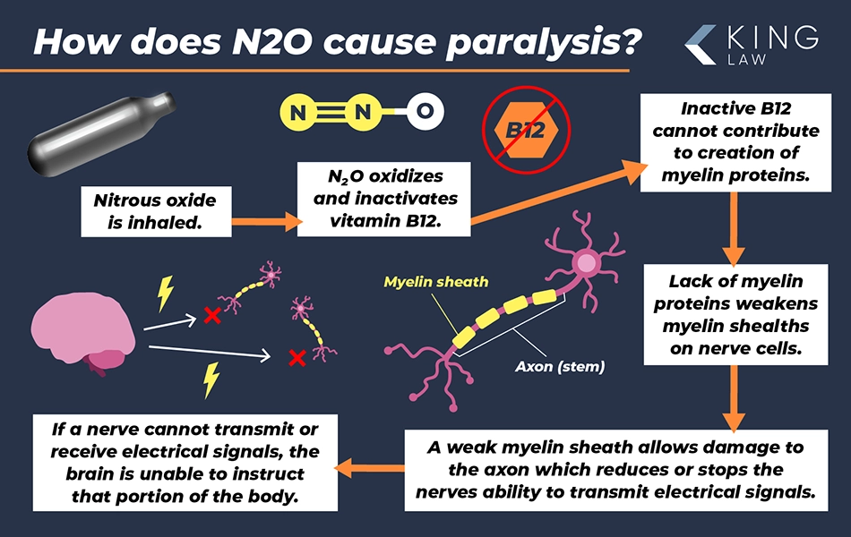 This infographic is a flow chart showing how nitrous oxide can cause paralysis in the human body.