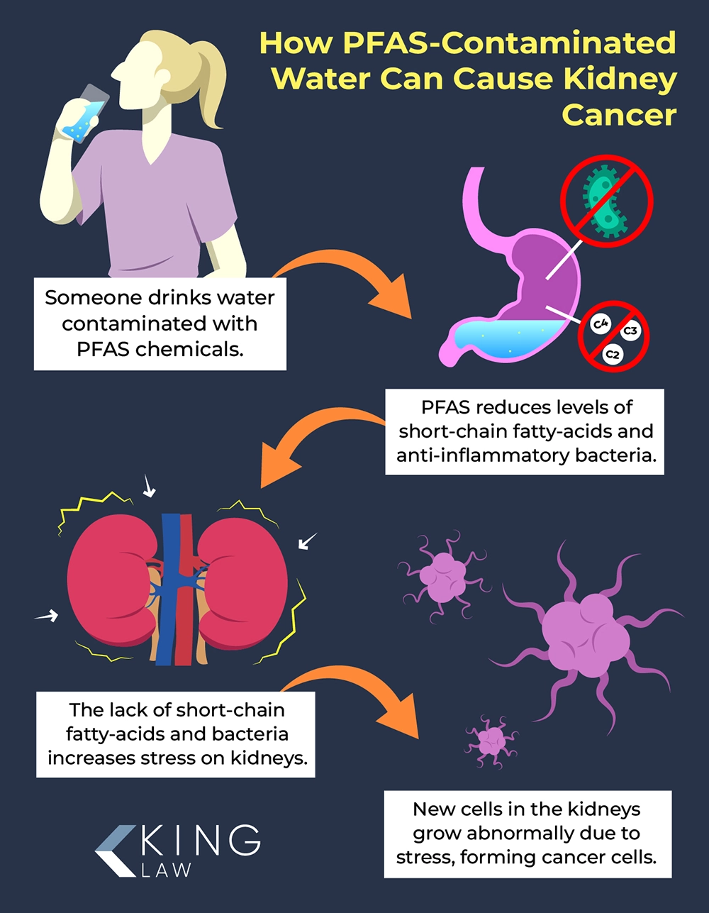 Infographic explaining how PFAS in drinking water can cause kidney cancer.