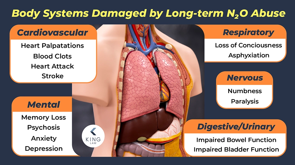 Infographic listing the damage nitrous oxide can cause to different body systems. Image of a plastic model of the human body.