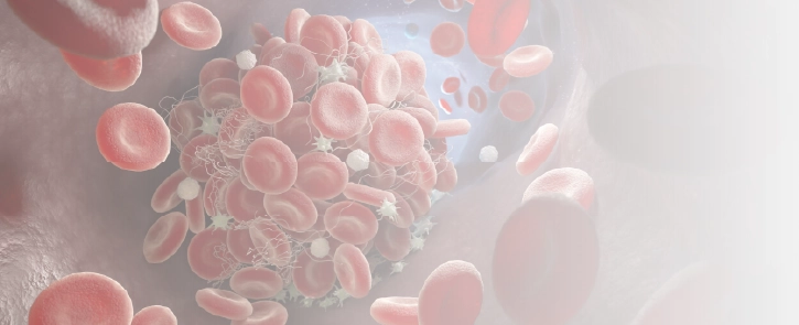 background image for homepage