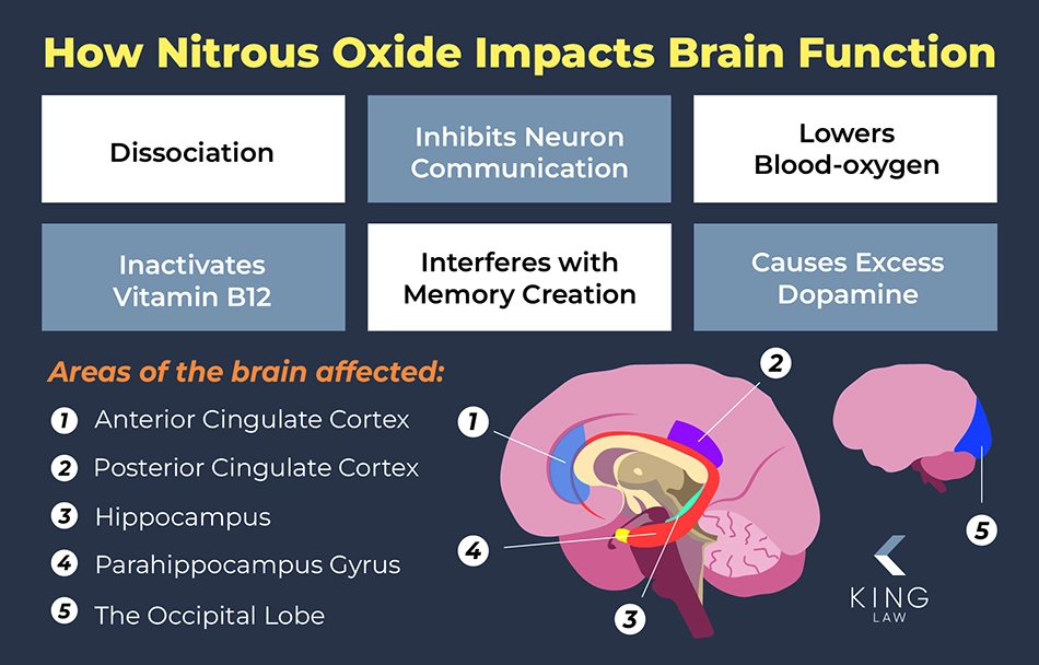 Infographic showing what parts of the brain are impacted by nitrous oxide use and what it does to brain function.