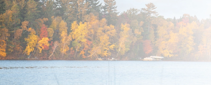 background image for homepage