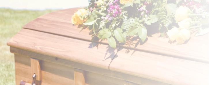 background image for homepage