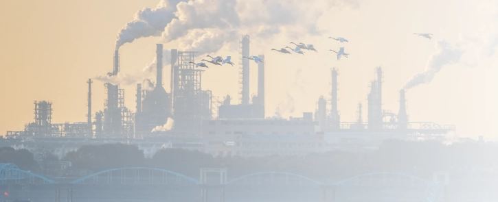 background image for homepage