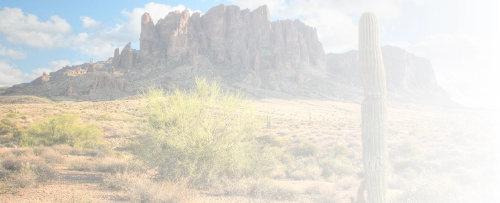 background image for homepage