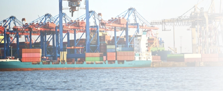 background image for homepage