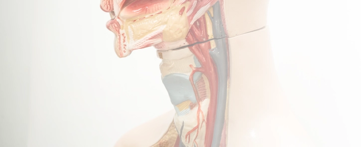 background image for homepage
